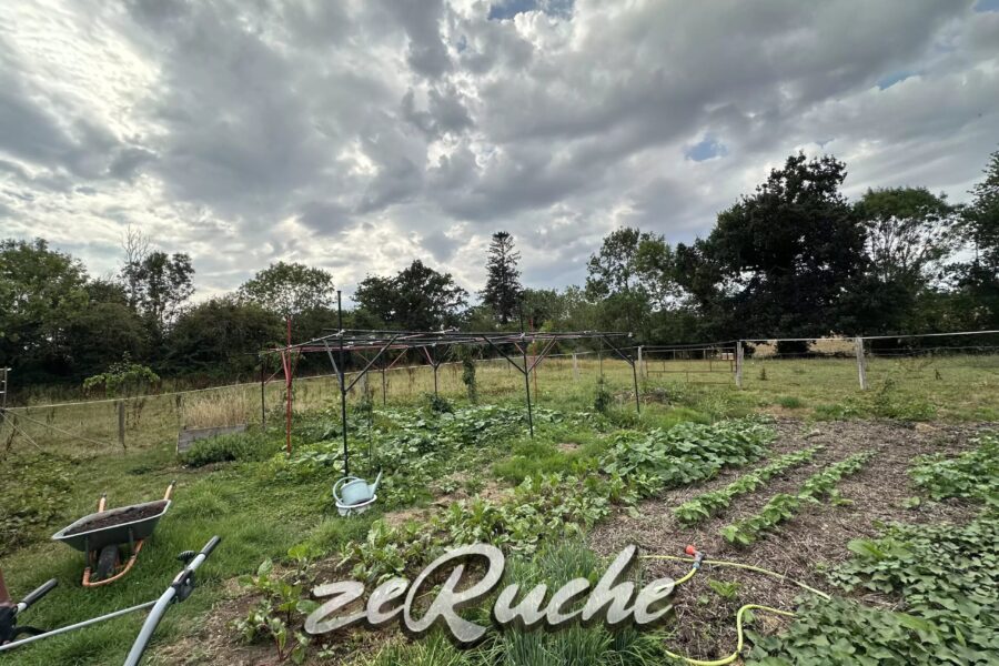 Maison à vendre à Cahagnes — Vue nature — photo 50