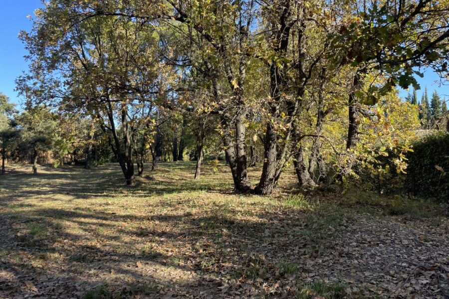 Terrain à vendre à Lorgues — Vue dégagée — photo 1