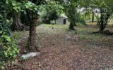 Terrain à vendre à Congis-sur-thérouanne — Vue parc & jardin — photo 2