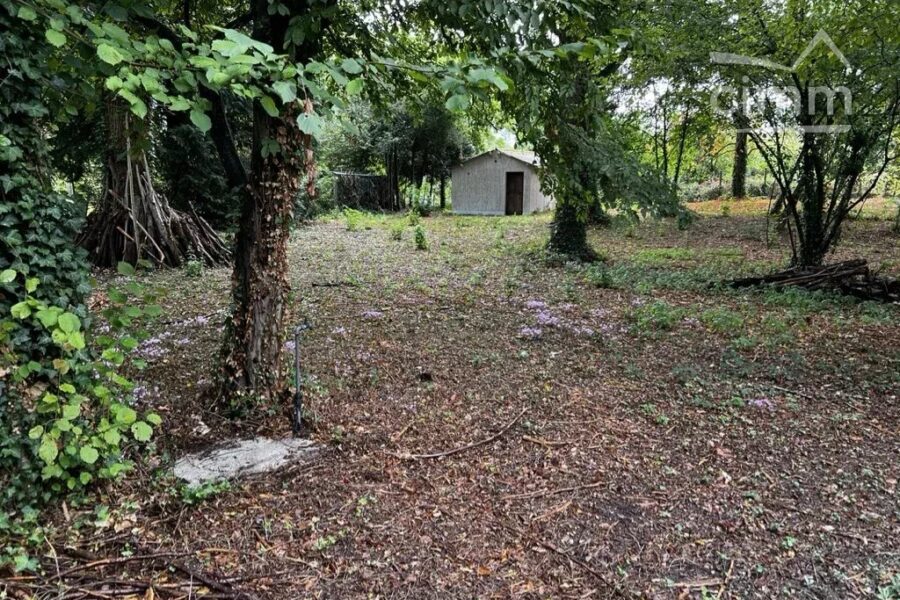 Terrain à vendre à Congis-sur-thérouanne — Vue parc & jardin — photo 2