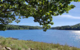 Terrain à vendre à La salvetat-sur-agout — Vue lac — photo 13