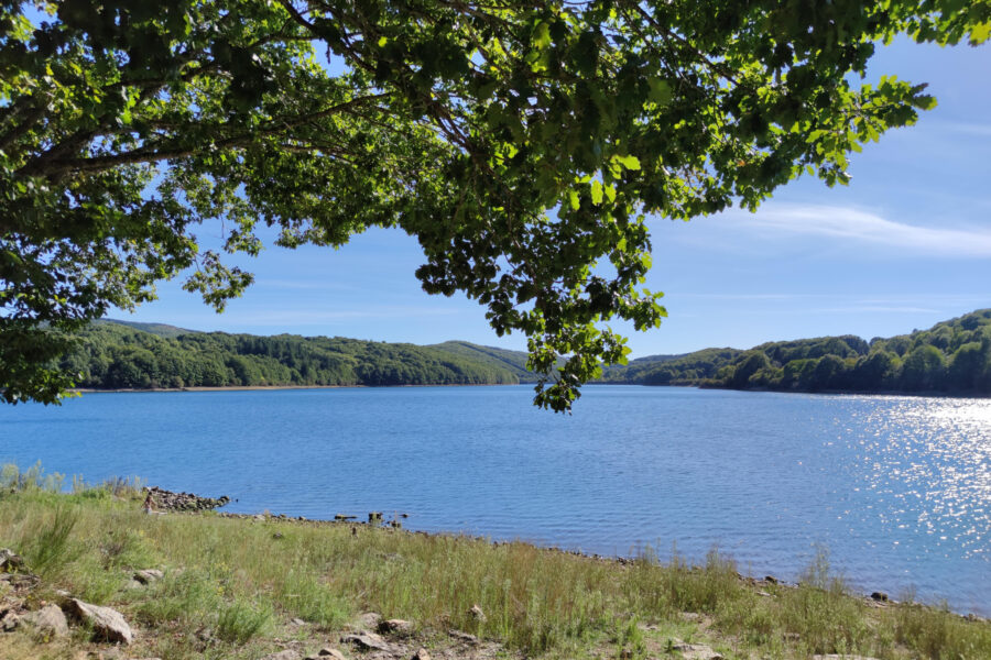 Terrain à vendre à La salvetat-sur-agout — Vue lac — photo 13