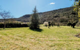 Maison à vendre à La tour-sur-orb — Vue nature — photo 1