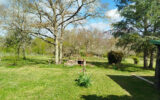 Maison à vendre à Saint-André-et-Appelles — Vue nature — photo 20