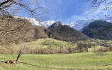 Maison à vendre à Argelès-gazost — Vue montagne — photo 19