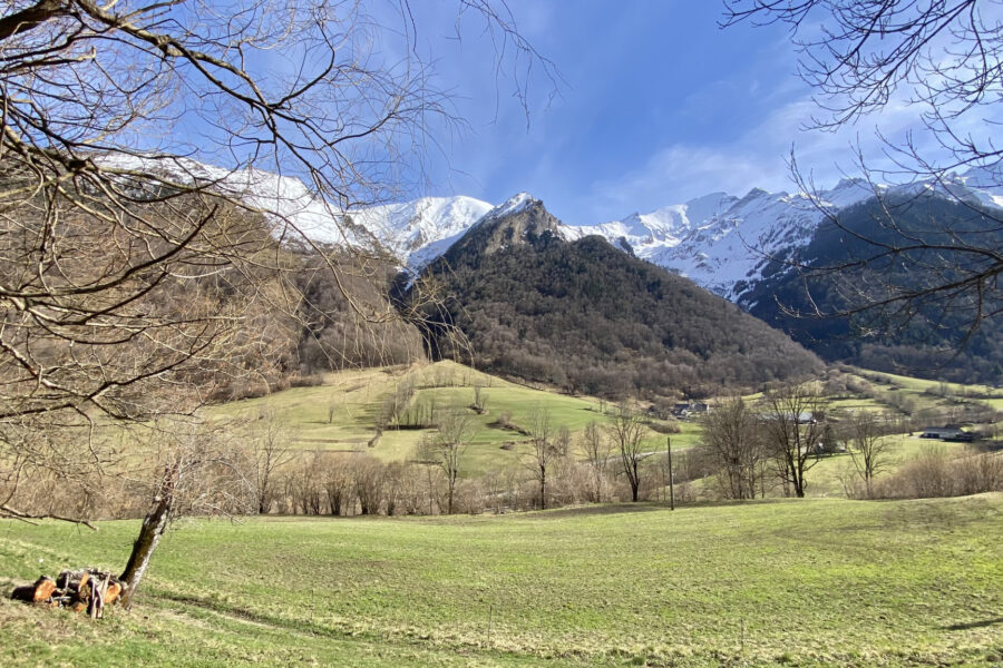 Maison à vendre à Argelès-gazost — Vue montagne — photo 19