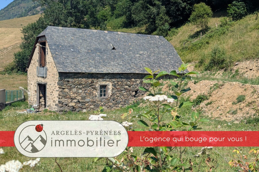Maison à vendre à Argelès-gazost — Vue montagne — photo 2