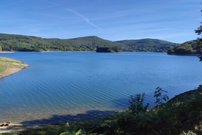 Terrain à vendre à La salvetat-sur-agout