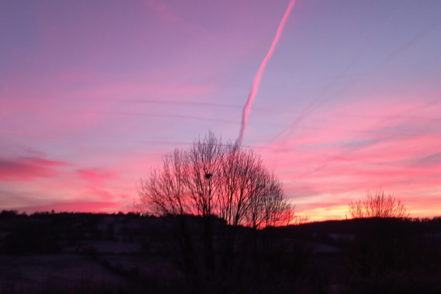 Maison à vendre à Guerquesalles — Vue nature — photo 18