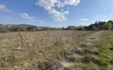 Terrain à vendre à Popian — Vue vignes — photo 5