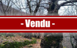 Terrain à vendre à Vans — Vue montagne — photo 2