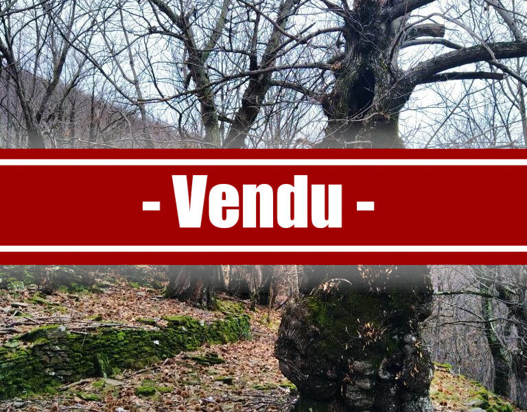 Terrain à vendre à Vans — Vue montagne — photo 2