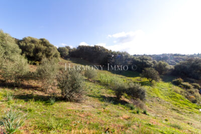 Terrain à vendre à Bastelicaccia