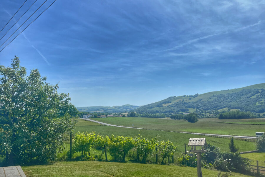 Maison à vendre à Saint-palais — Vue nature — photo 6