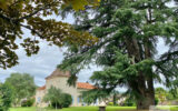 Maison à vendre à Castelmoron-sur-lot — Vue nature — photo 5