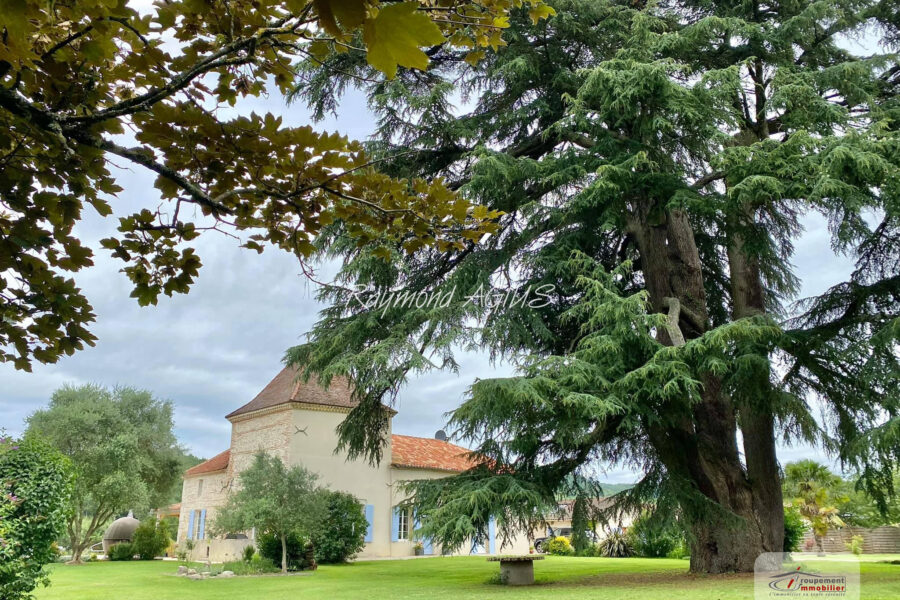 Maison à vendre à Castelmoron-sur-lot — Vue nature — photo 5