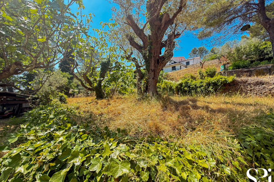 Terrain à vendre à Solliès-Pont — Vue nature — photo 6