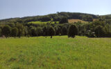 Terrain à vendre à La salvetat-sur-agout — Vue lac — photo 10