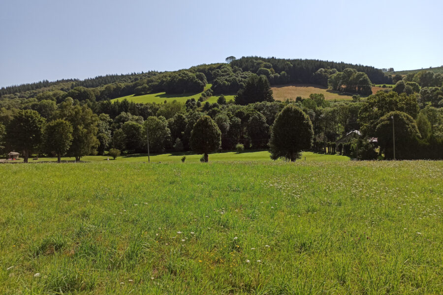 Terrain à vendre à La salvetat-sur-agout — Vue lac — photo 10