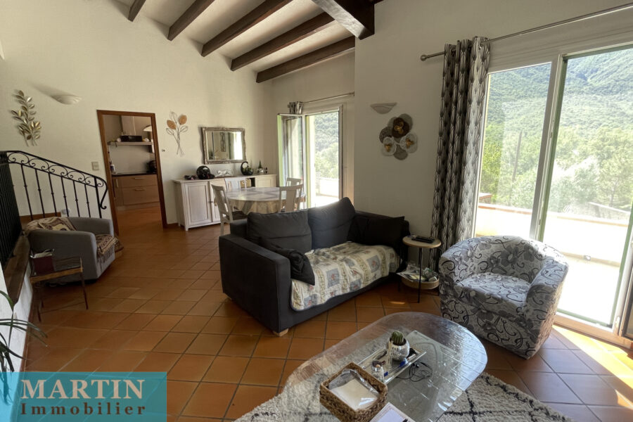 Maison à vendre à Arles-sur-tech — Vue montagne — photo 7