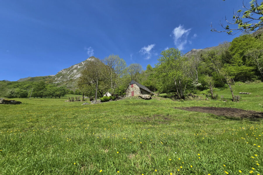 Maison à vendre à Argelès-gazost — Vue dégagée — photo 17