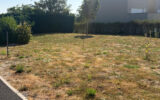 Terrain à vendre à Reims — Vue dégagée — photo 4