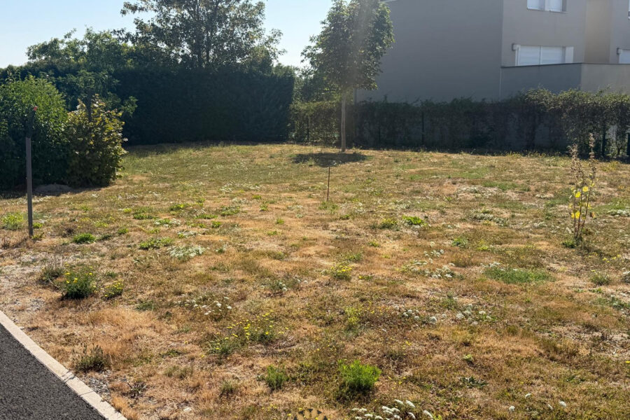 Terrain à vendre à Reims — Vue dégagée — photo 4