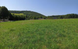 Terrain à vendre à La salvetat-sur-agout — Vue lac — photo 11