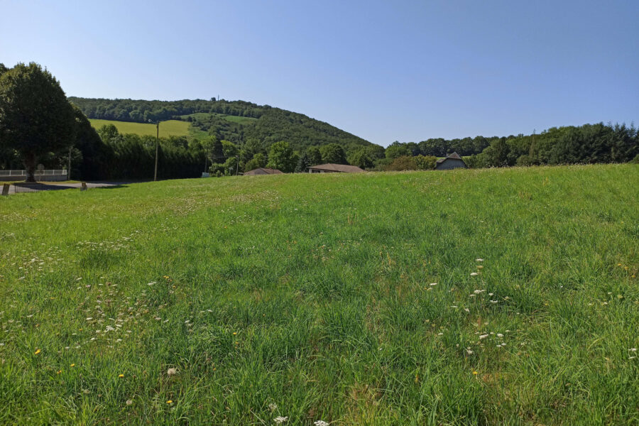 Terrain à vendre à La salvetat-sur-agout — Vue lac — photo 11