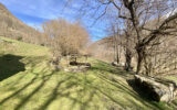 Maison à vendre à Argelès-gazost — Vue montagne — photo 20