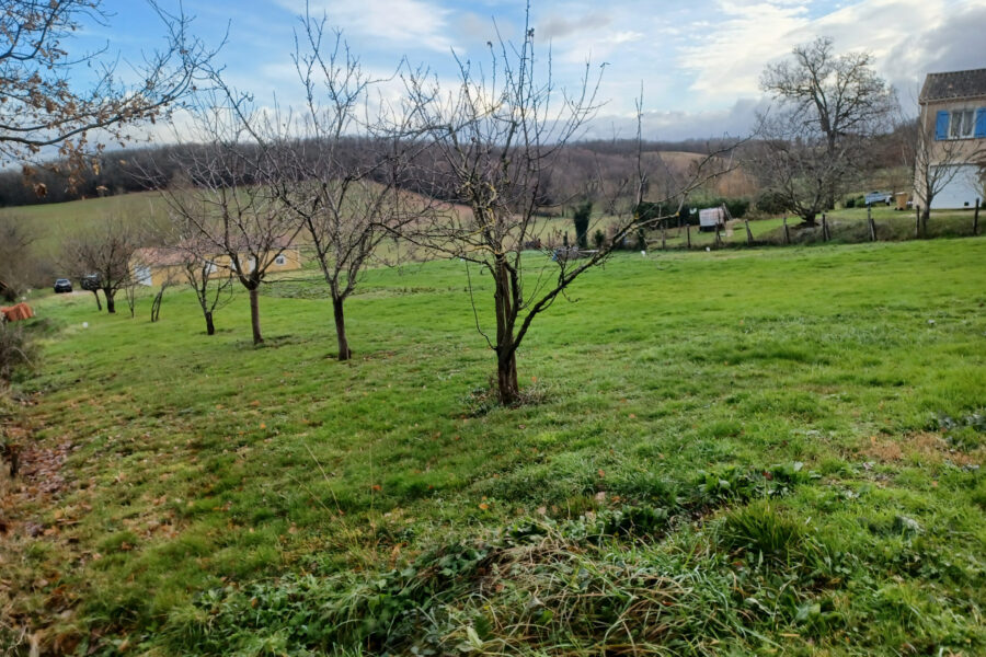 Terrain à vendre à Técou — Vue nature — photo 3