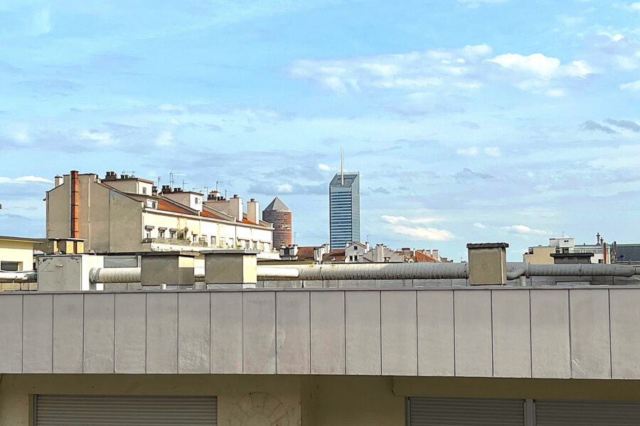 Appartement à vendre à Lyon — Vue sur la ville — photo 8
