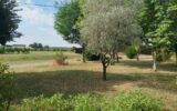 Maison à vendre à Saint-andré-et-appelles — Vue nature — photo 14