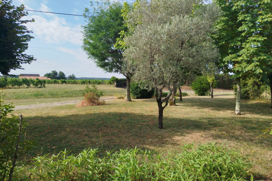 Maison à vendre à Saint-andré-et-appelles — Vue nature — photo 14