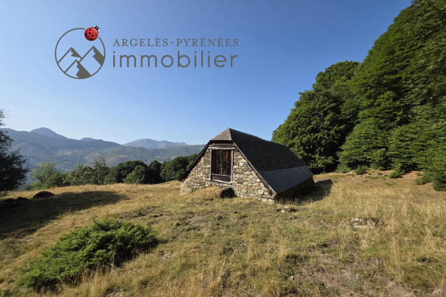 Maison à vendre à Arrens-marsous — Vue montagne — photo 2