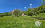 Maison à vendre à Argelès-gazost — Vue montagne — photo 20