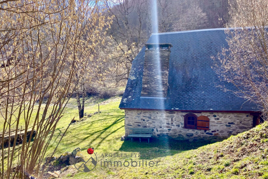 Maison à vendre à Argelès-gazost — Vue montagne — photo 6