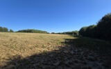 Terrain à vendre à Cernoy-en-berry — Vue nature — photo 3