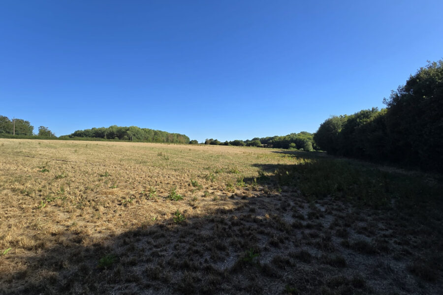Terrain à vendre à Cernoy-en-berry — Vue nature — photo 3