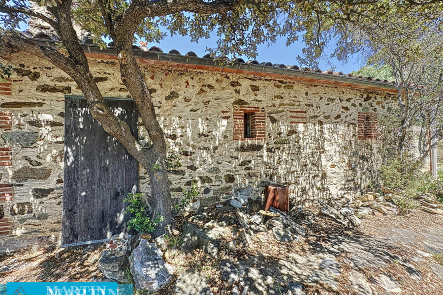 Maison à vendre à Calmeilles — Vue montagne — photo 10