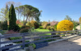 Maison à vendre à Saint-nicolas-de-la-grave — Vue parc & jardin — photo 4