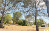 Terrain à vendre à Pierrefeu-du-var — Vue dégagée — photo 3
