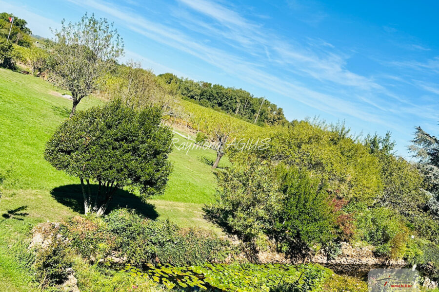 Maison à vendre à Saint-Émilion — Vue nature — photo 4