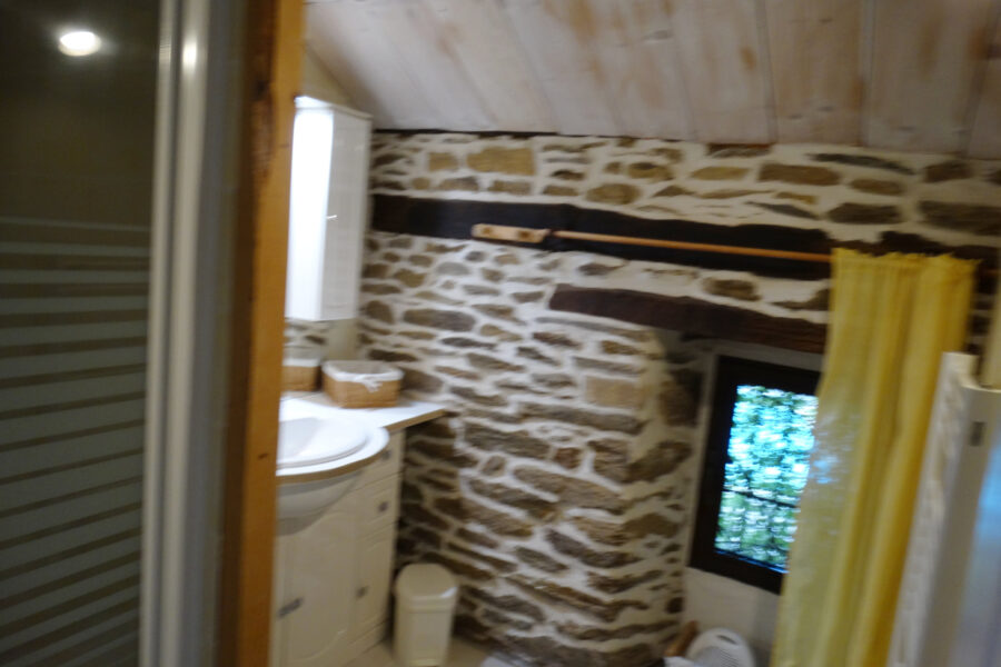 Maison à vendre à Saint-andré-lachamp — Vue nature — photo 8