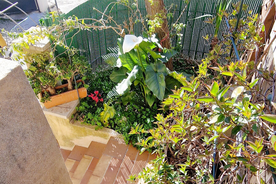Appartement à vendre à Mougins — Vue nature — photo 5
