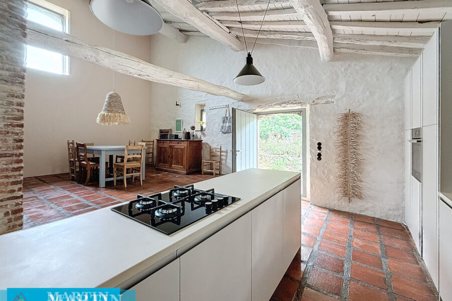 Maison à vendre à Calmeilles — Vue montagne — photo 16