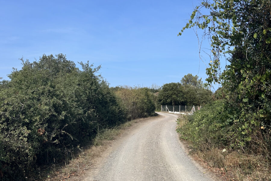 Terrain à vendre à Les sables d&rsquo;olonne — Vue lac — photo 2