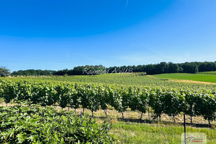 Maison à vendre à Loubès-bernac — Vue vignes — photo 6