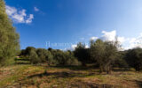 Terrain à vendre à Bastelicaccia — Vue nature — photo 2