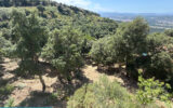 Maison à vendre à Le boulou — Vue nature — photo 12